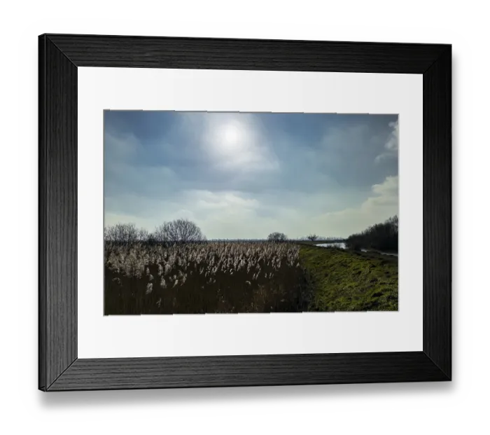 Framed Print : Landscape in the wetland at the Dummer