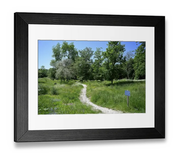 Framed Print : Site of the destroyed village of Fleury-devant-Douaumont Framed Print : Site of the destroyed village of Fleury-devant-Douaumont