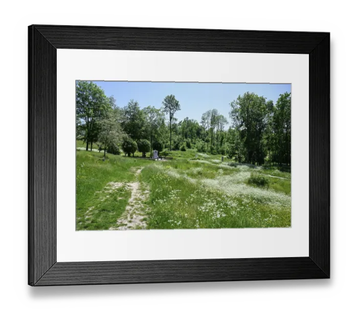 Framed Print : Site of the destroyed village of Fleury-devant-Douaumont Framed Print : Site of the destroyed village of Fleury-devant-Douaumont
