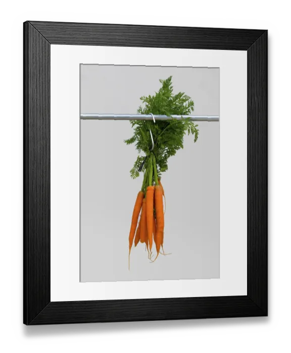 Framed Print : Carrots on a meat hook