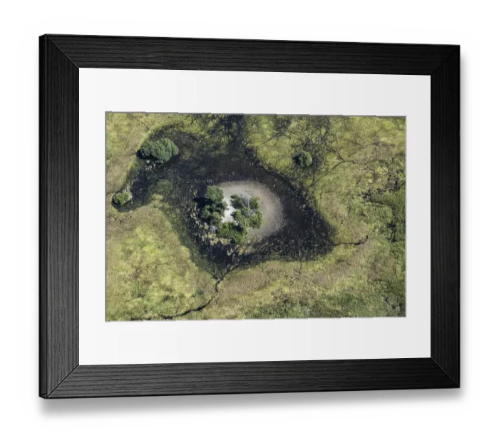 Framed Print : Okawango Delta pan style, tree islands and hippo channels in the reed grass Framed Print : Okawango Delta pan style, tree islands and hippo channels in the reed grass