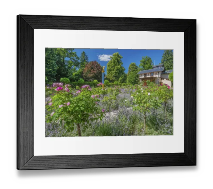 Framed Print : Rosarium with blooming roses in front of the Pompeian-Bavarian Casino on the Rose Island in Lake Starnberg Framed Print : Rosarium with blooming roses in front of the Pompeian-Bavarian Casino on the Rose Island in Lake Starnberg