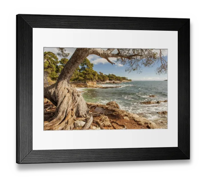 Framed Print : Mediterranean shores of the Ile Sainte Marguerite Framed Print : Mediterranean shores of the Ile Sainte Marguerite