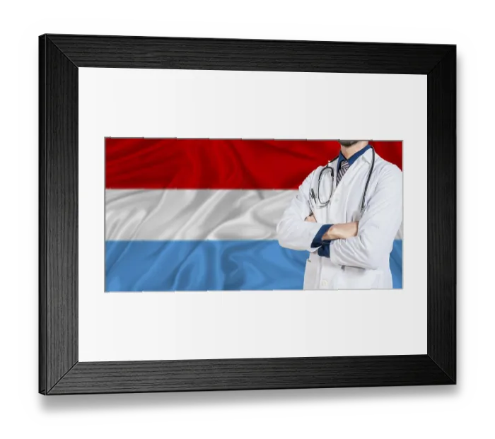 Framed Print : Luxembourg national health system