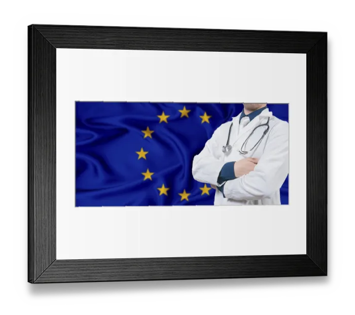 Framed Print : European Union healthcare concept