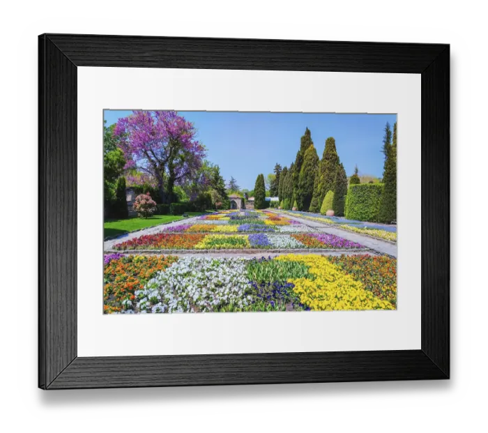 Framed Print : Lot of Different Kinds of Flowers in the Garden Balchik