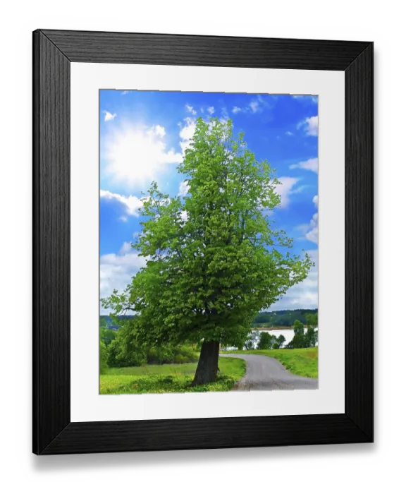 Framed Print : Lanscape with Tree and Blue Sky Daugavpils, Latvia Framed Print : Lanscape with Tree and Blue Sky Daugavpils, Latvia