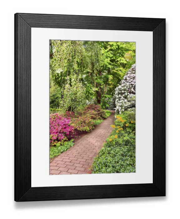 Framed Print : Rhododendron Bushes in Summer Sity Garden