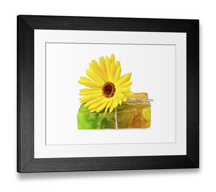 Framed Print : Homemade soap, tied with twine and a yellow calendula isolated on white background Framed Print : Homemade soap, tied with twine and a yellow calendula isolated on white background