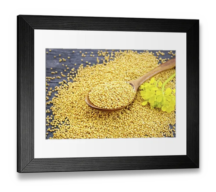 Framed Print : Mustard seeds in a spoon and on a table with a flower against a black wooden board Framed Print : Mustard seeds in a spoon and on a table with a flower against a black wooden board