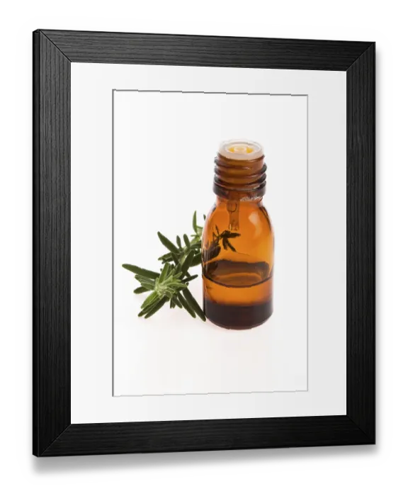 Framed Print : Rosemary oil, lodz, poland Framed Print : Rosemary oil, lodz, poland