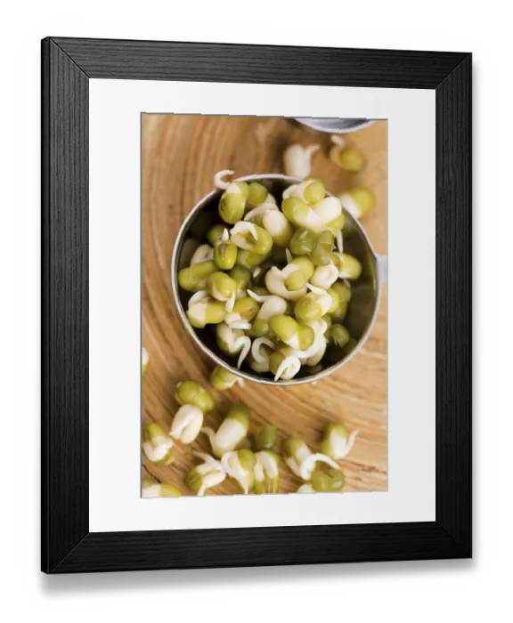 Framed Print : Sprouted mung beans, lodz, poland