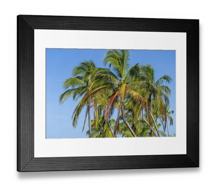 Framed Print : Spectacular Yucatan Vista: Azure and emerald waters blend as coconut trees sway in the Caribbean trade winds