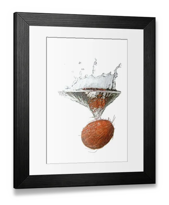Framed Print : Coconut in water splash isolated on white background Framed Print : Coconut in water splash isolated on white background