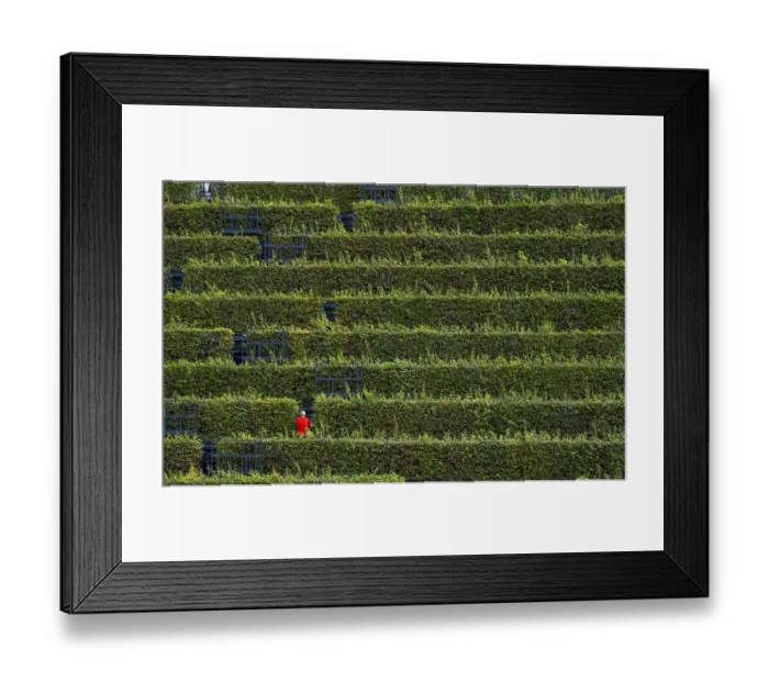 Framed Print : Green facade, made of over 30