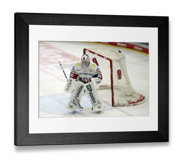 Framed Print : Goalkeeper  /  Goalkeeper Jake Hildebrand (Eisbaren Berlin) kept his team in the game of the DEL 24-25
