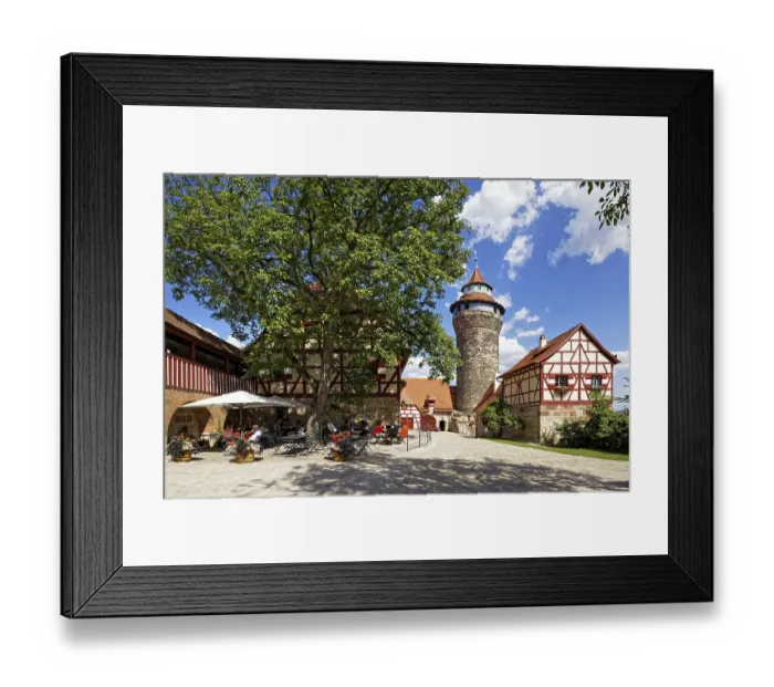 Framed Print : Outer castle courtyard, lime tree in front