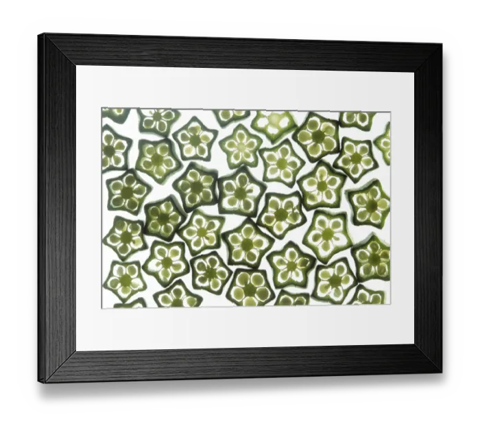 Framed Print : Vegetables, Lady Fingers slices on a white background Framed Print : Vegetables, Lady Fingers slices on a white background