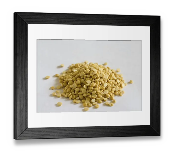 Framed Print : Lentils, Channa Dal, Gram Lentils Framed Print : Lentils, Channa Dal, Gram Lentils