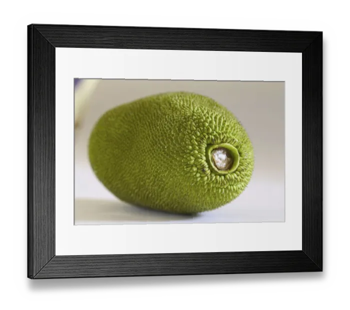 Framed Print : Fruit, Jackfruit Kathal phanus, India