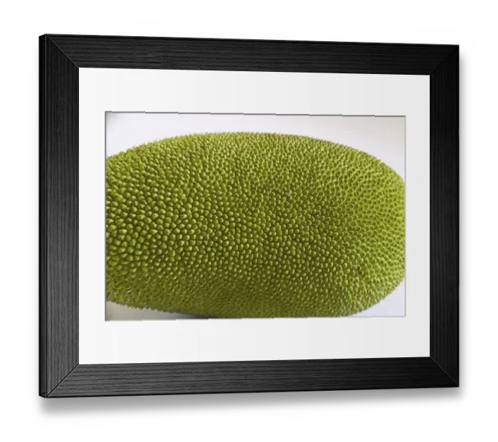 Framed Print : Fruit, Jackfruit Kathal phanus, India