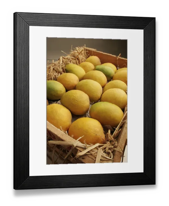 Framed Print : Fruits, Alphonso mangoes king of fruits packed in wooden box Pati wit dry hay