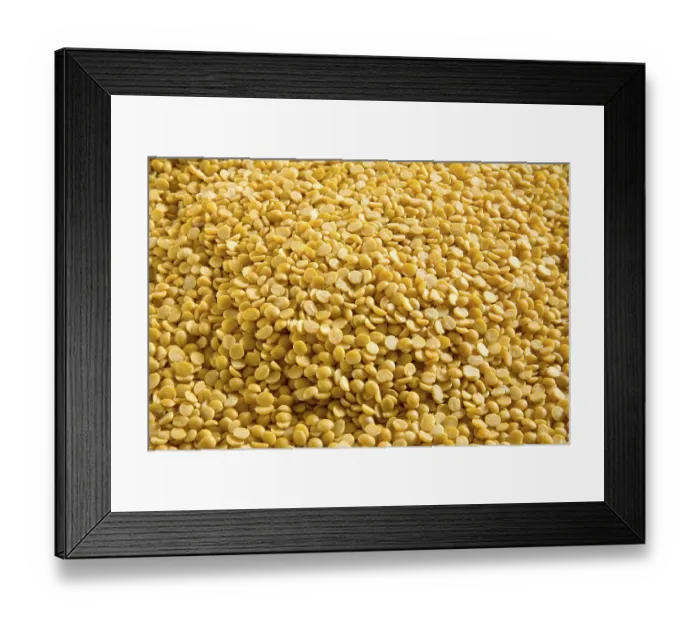 Framed Print : Pulses, split yellow lentils toor arhar dal lens culinaris