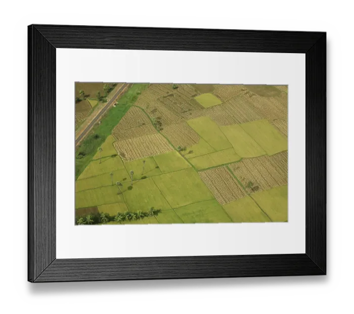 Framed Print : Aerial view of tilled and cultivated field Framed Print : Aerial view of tilled and cultivated field