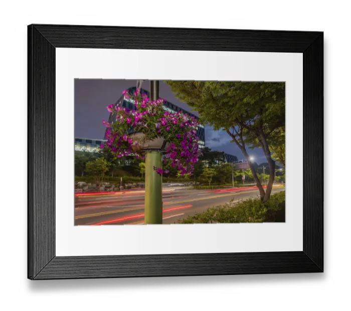 Framed Print : Daejeon, South Korea, June 25