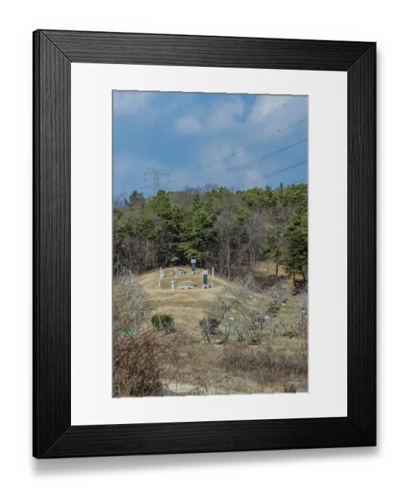 Framed Print : Daejeon, South Korea, March 4
