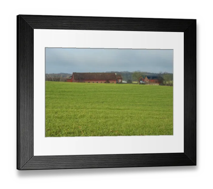 Framed Print : Farm by green field in winter in Ystad Municipality