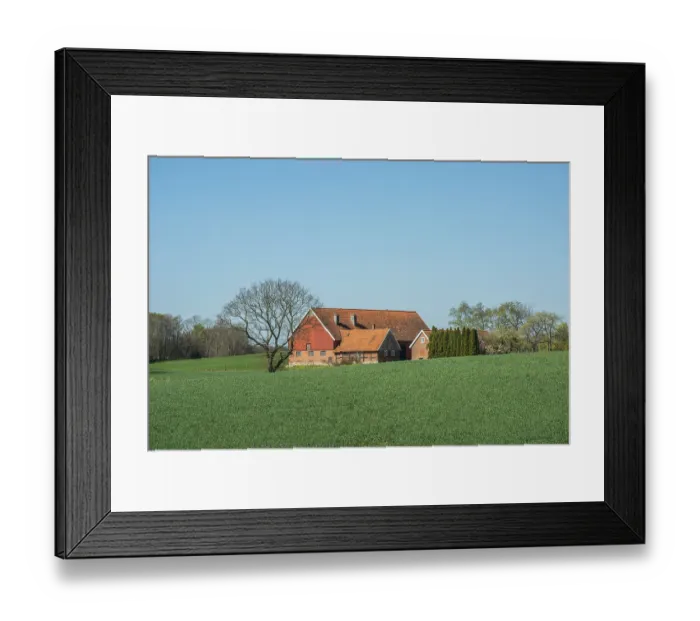Framed Print : Farm at green field and blue sky in springtime in Ystad Municipality