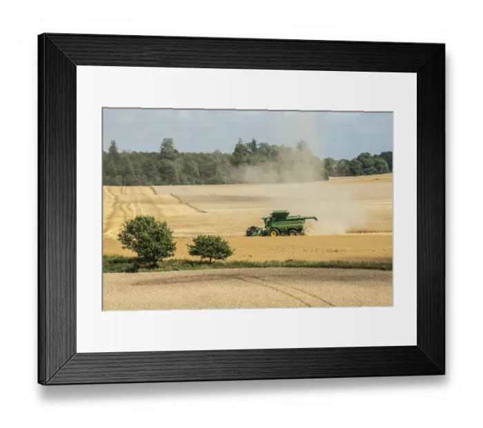 Framed Print : Landscape with threshing of grain with combine harvester at Ystad