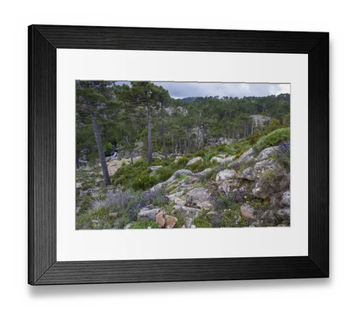 Framed Print : Hiking trail to the Cascade de Piscia di Gallo waterfall