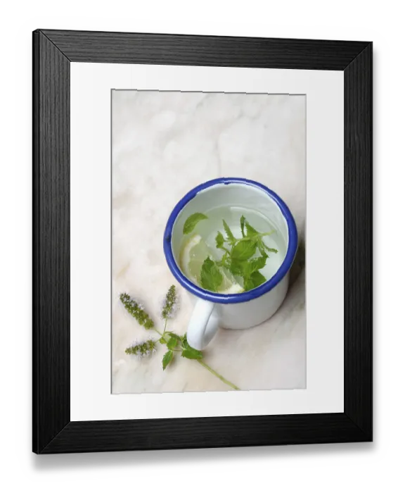 Framed Print : Peppermint tea, peppermint leaves and a slice of lemon in a cup of hot water