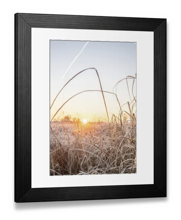 Framed Print : Winter landscape with frost at sunrise