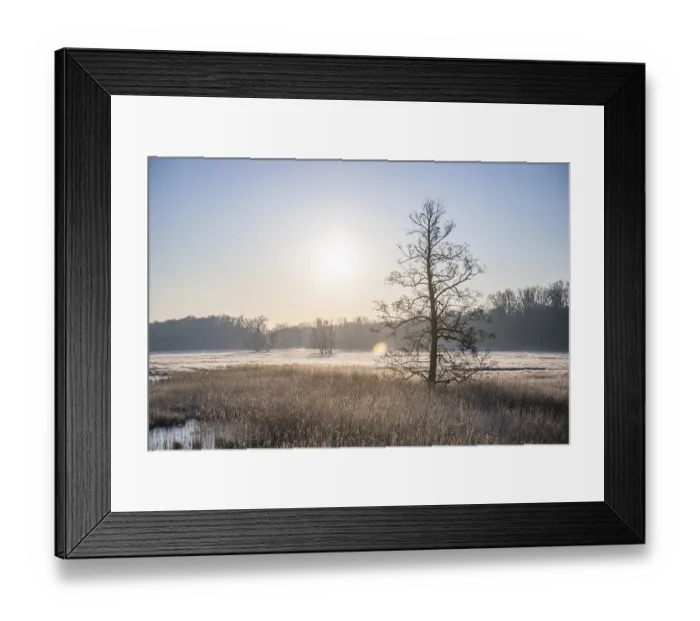 Framed Print : Winter landscape in frost at sunrise