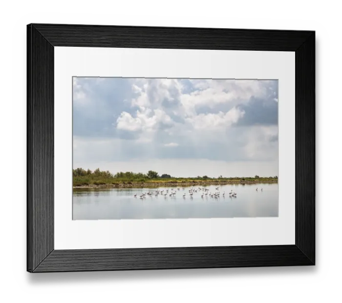 Framed Print : Landscape in the Camargue, South of France