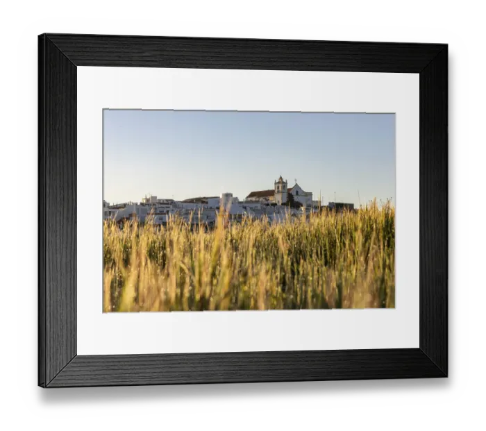 Framed Print : Sunrise with a view of a meadow