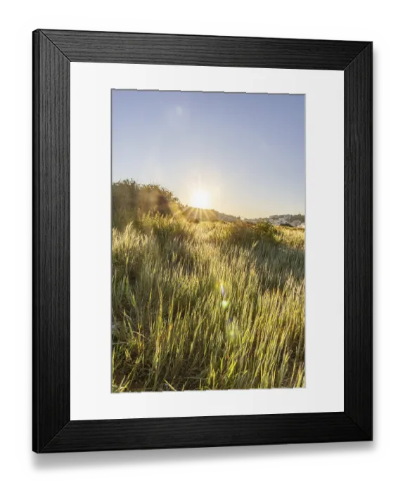 Framed Print : Sunrise with a view of a meadow
