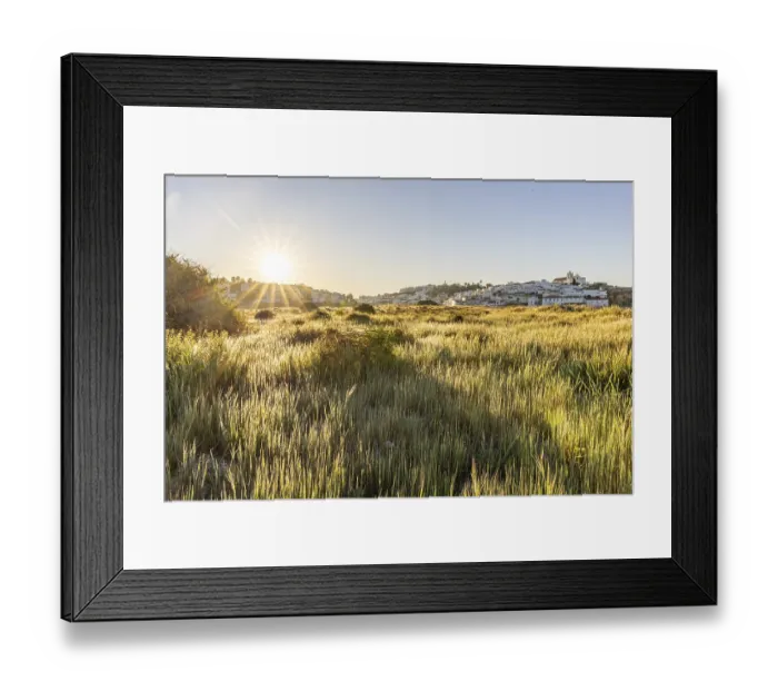 Framed Print : Sunrise with a view of a meadow Framed Print : Sunrise with a view of a meadow
