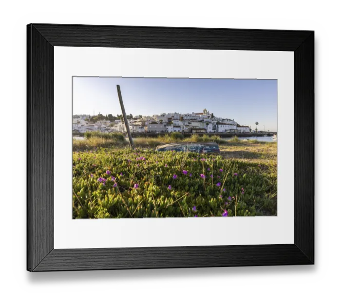 Framed Print : Sunrise with a view of a meadow Framed Print : Sunrise with a view of a meadow