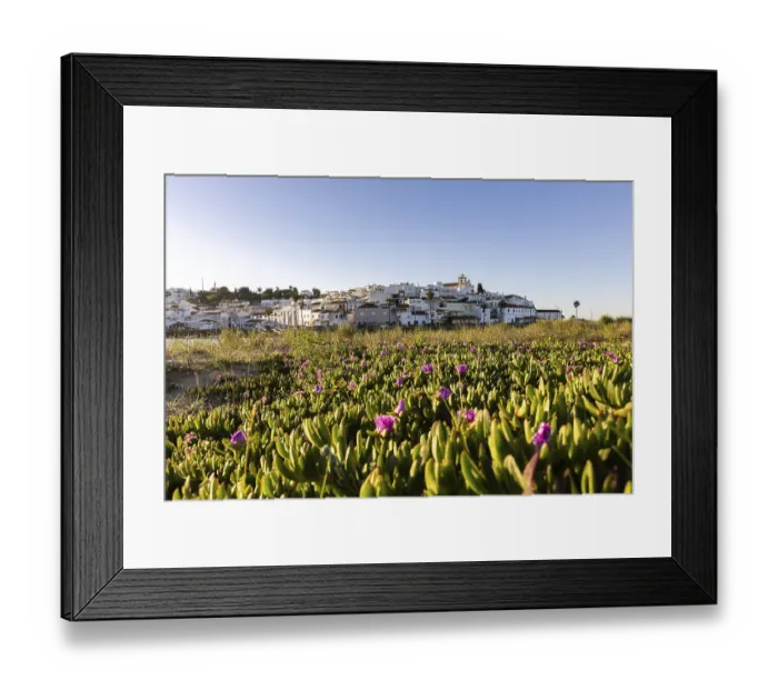 Framed Print : Sunrise with a view of a meadow