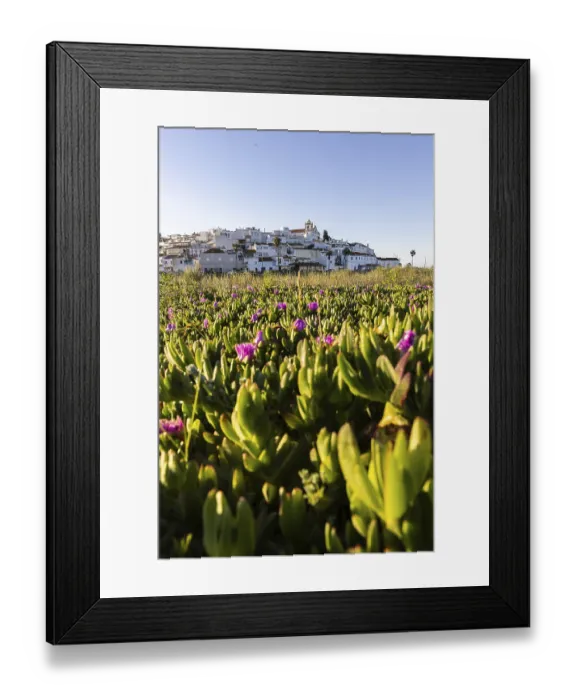 Framed Print : Sunrise with a view of a meadow