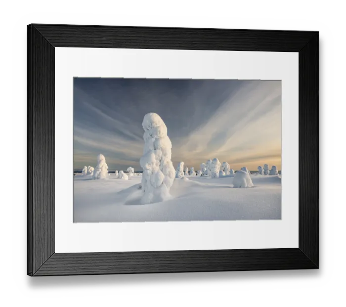 Framed Print : Trees covered in snow, winter landscape