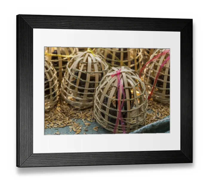 Framed Print : Birds in wooden cages to be released for Laotian and buddhist tradition