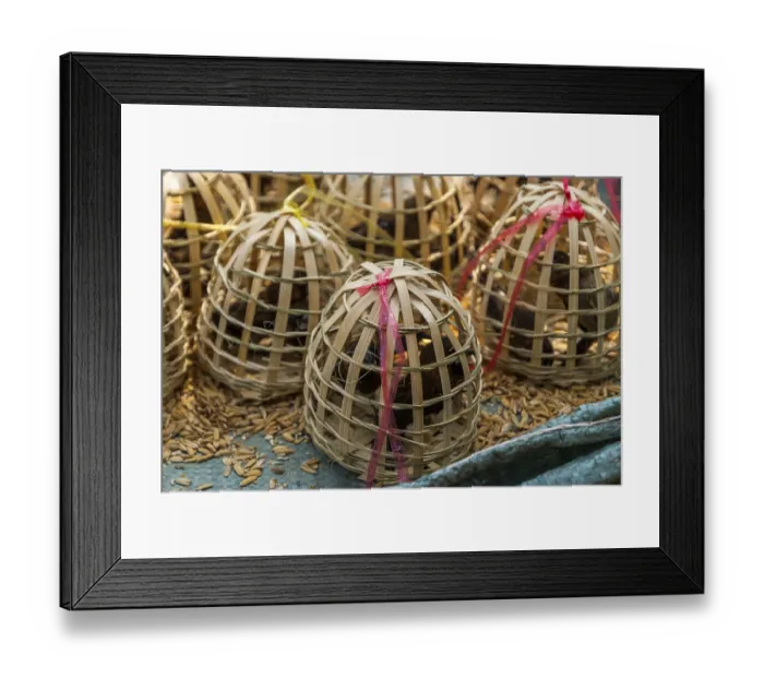 Framed Print : Birds in wooden cages to be released for Laotian and buddhist tradition