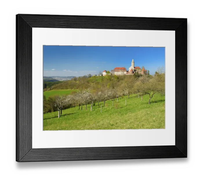 Framed Print : Flowering fruit trees below Leuchtenburg Castle