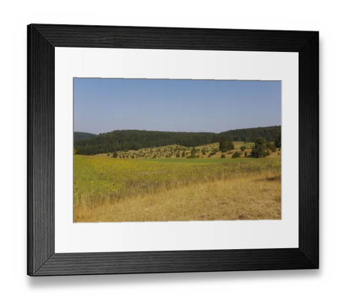Framed Print : Landscape, nature, trees, meadow