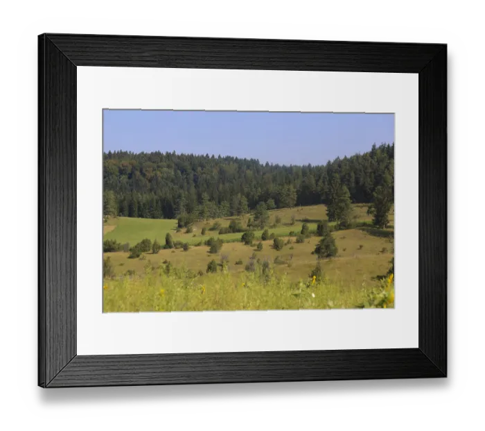 Framed Print : Landscape, nature, trees, meadow